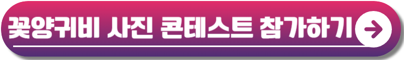 원주 용수골 꽃양귀비축제