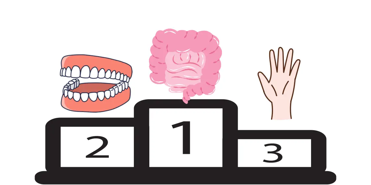 구강-유산균-부작용