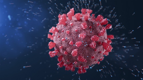 코로나 바이러스 격리기간