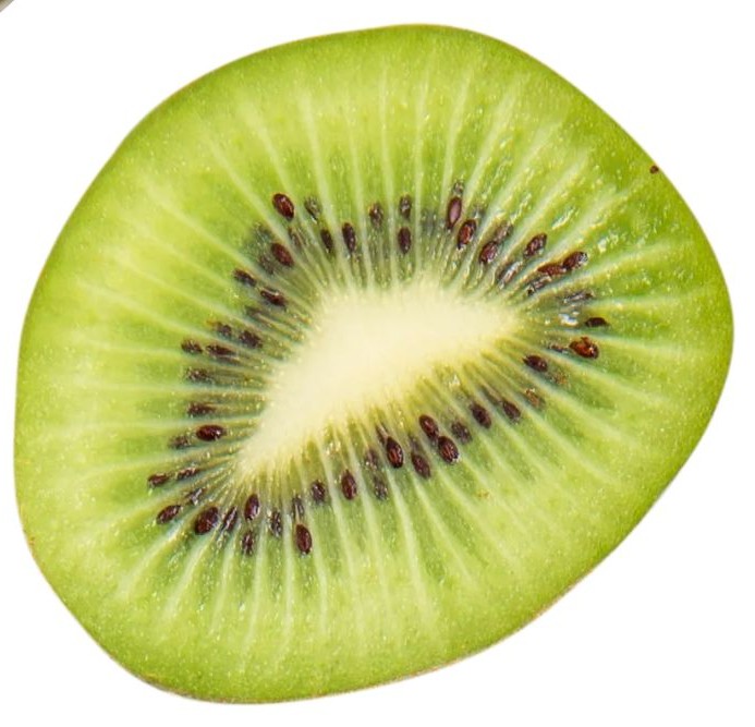 키위 이미지