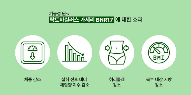 BNR17 비에날씬 유산균 - 복부 지방 감소의 비밀, 과학적 연구와 논문으로 살펴보는 BNR17 비에날씬 유산균