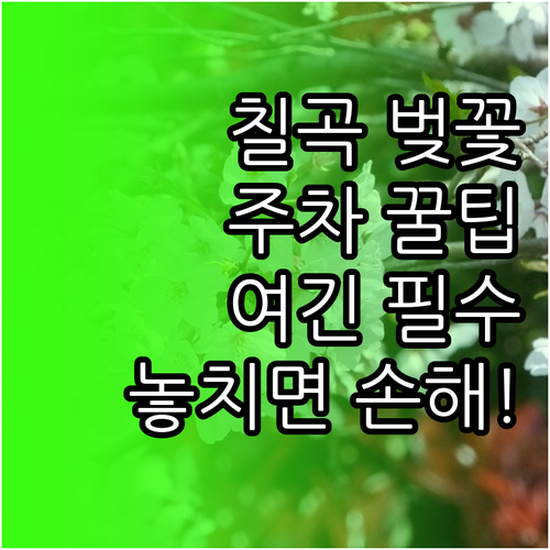 칠곡군 벚꽃 구경하기 좋은 곳 및 주..