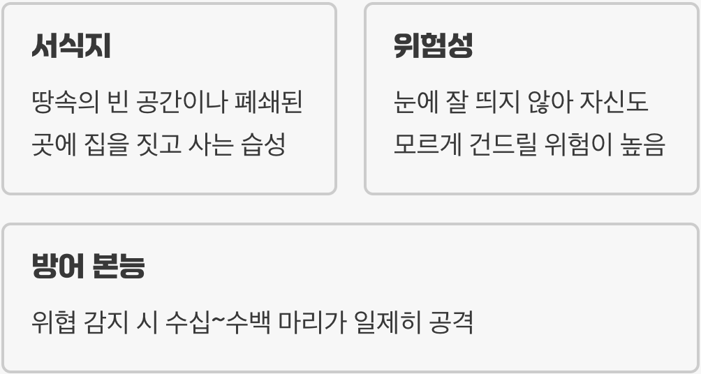 보이지 않는 암살자&amp;#44; 땅벌의 정체