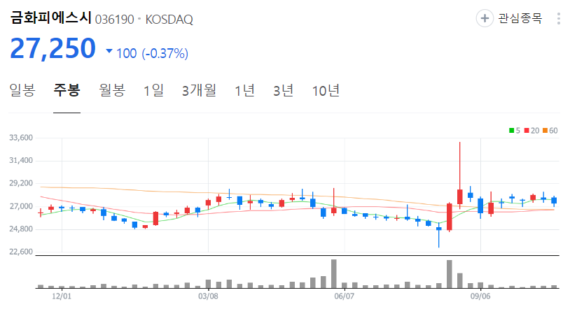금화피에스시-주가-주봉