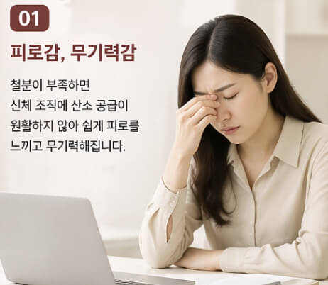 철분부족 증상