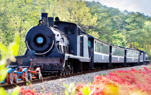 여행-곡성-섬진강기차마을