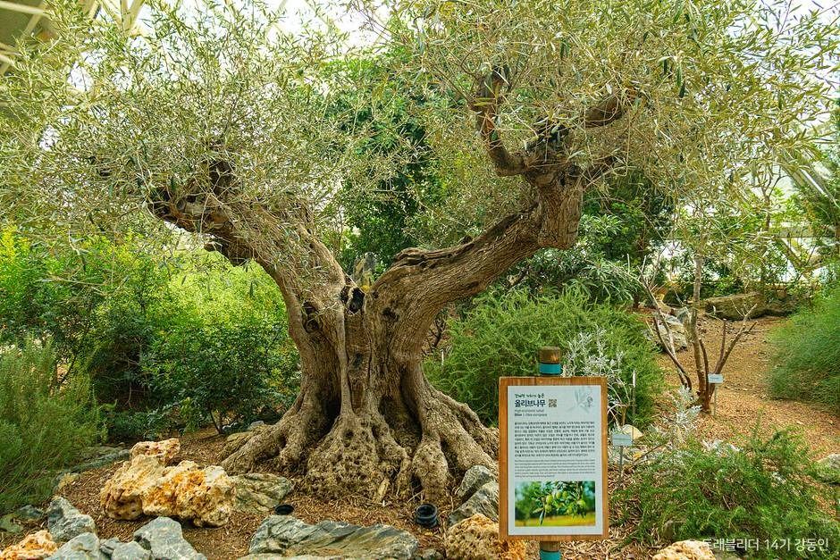 서천 가볼만한곳 베스트10