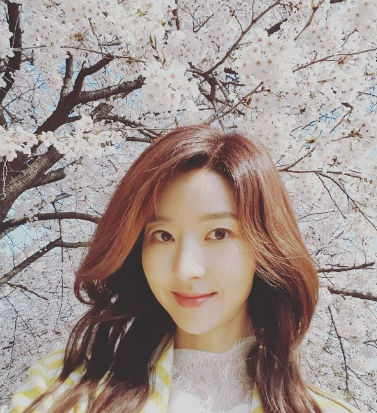 송선미 프로필