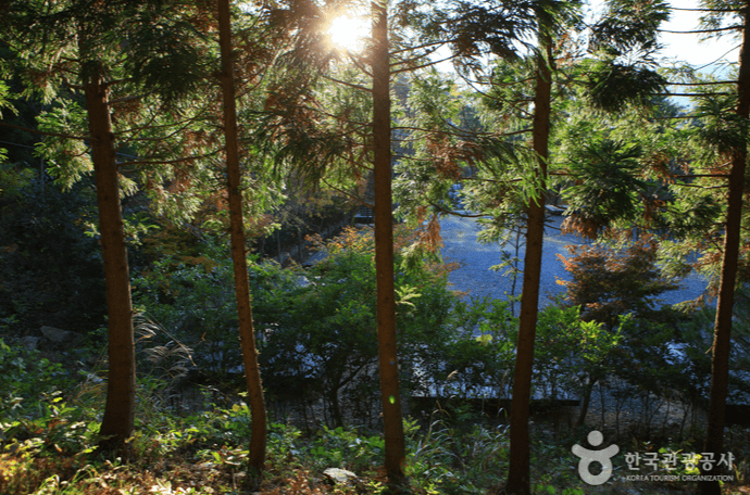 국립 천관산 자연휴양림 