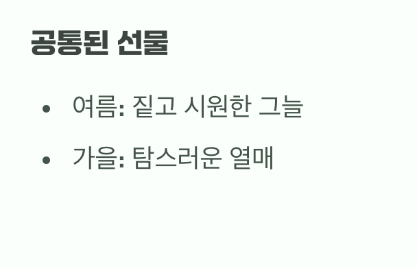 이름은 달라도, 매력은 하나