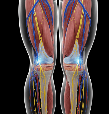 다리 저림 원인 및 해결법1
