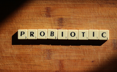 장내 미생물과 정신 건강