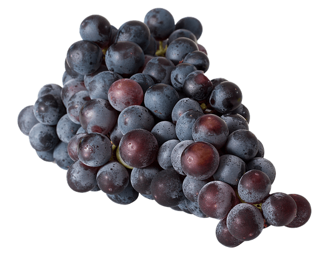 관절염에좋은음식