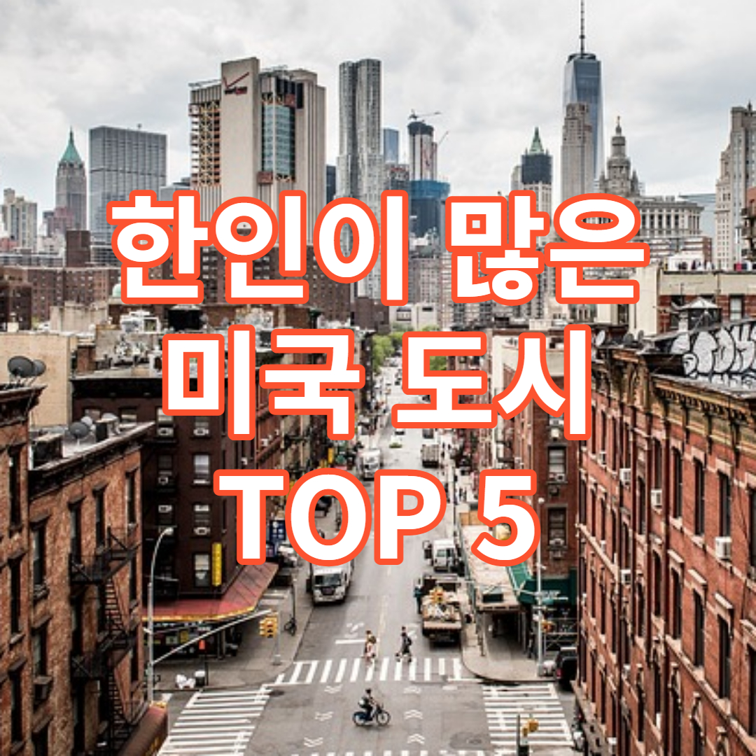 미국 내 한인 많은 순위