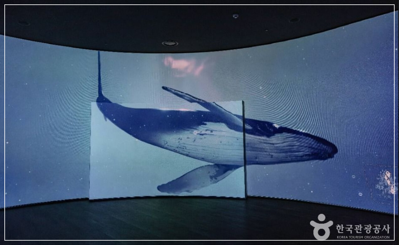 부산 가볼만한곳 베스트10 국립부산박물관