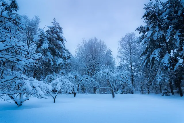 피스마이너스원 하이볼 마시는 방법과 추천 레시피_4