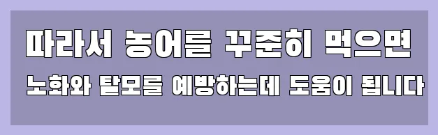  따라서 농어를 꾸준히 먹으면 노화와 탈모를 예방하는데 도움이 됩니다