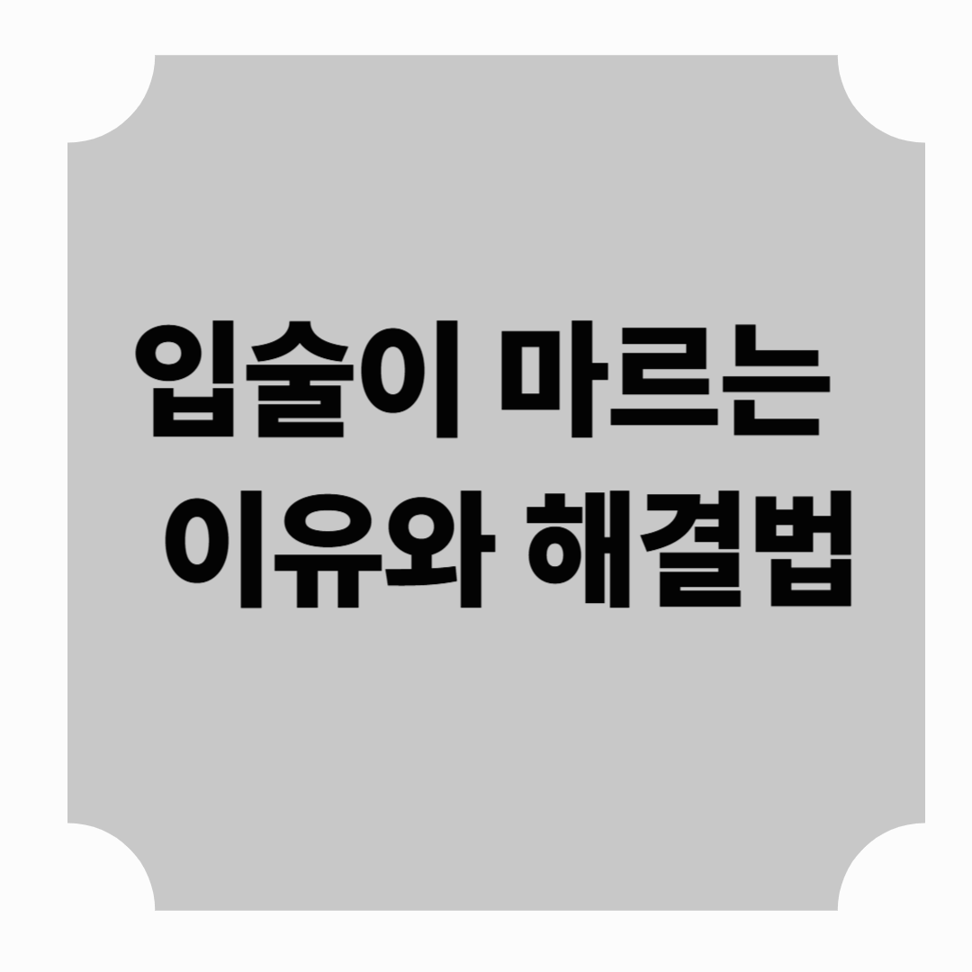 입술이 마르는 이유 7가지와 해결법, 촉촉한 입술을 지키세요