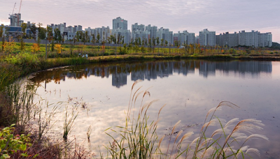 명당과-풍수지리학-현재-영향력