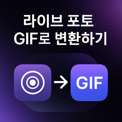 라이브 포토 GIF 변환 섬네일