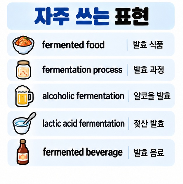 fermented food, fermentation process, alcoholic fermentation, lactic acid fermentation 표현을 정리한 카드
