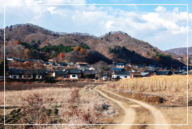 공익직불금 계산