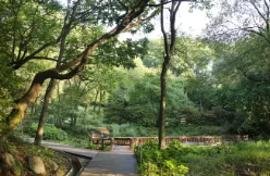 용인자연휴양림 예약