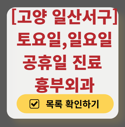 고양시 일산서구 주말 토요일 일요일 흉부외과 진료 병원 목록 ❘ 공휴일 진료 영업 병원 리스트 찾기