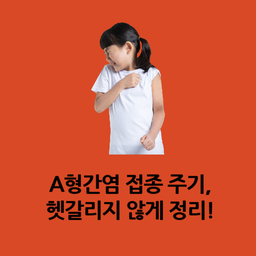 A형간염 접종 주기, 헷갈리지 않게 정리!