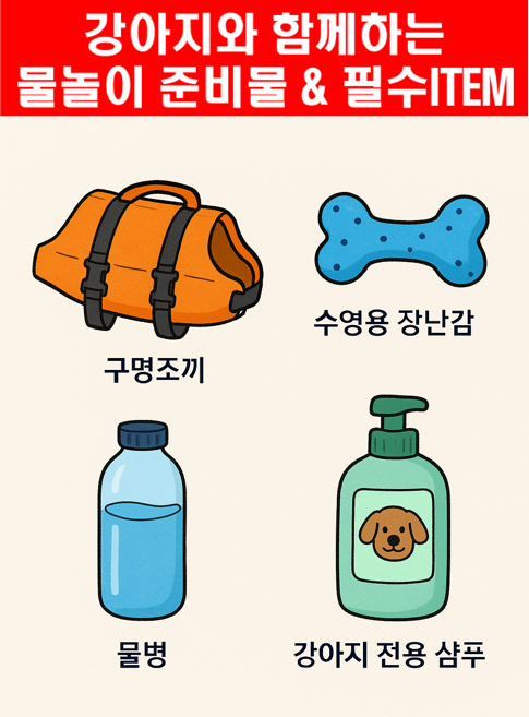 강아지와 함께하는 물놀이 준비물과 필수 ITEM 이미지