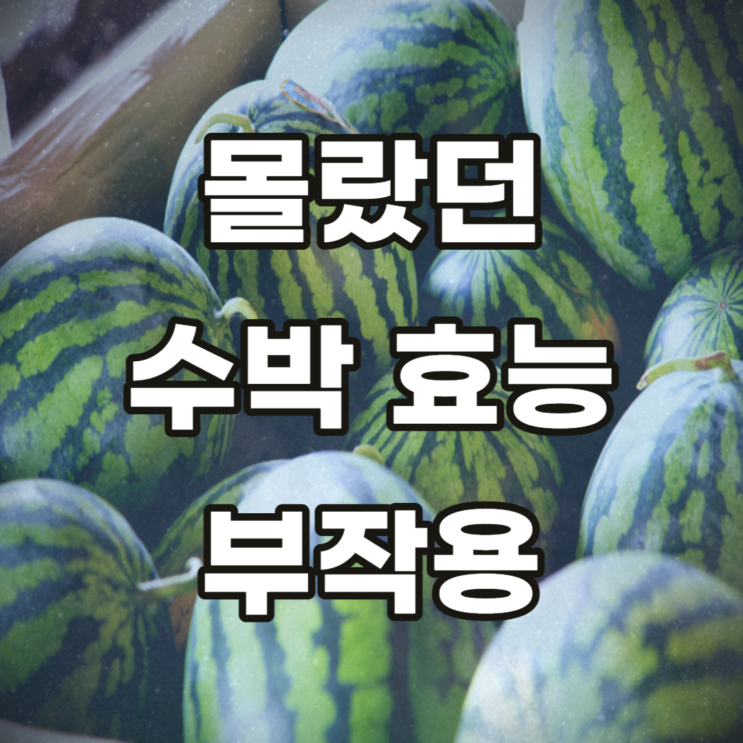수박-효능-부작용-보관-방법-보관법-껍질-요리방법-효과-장점