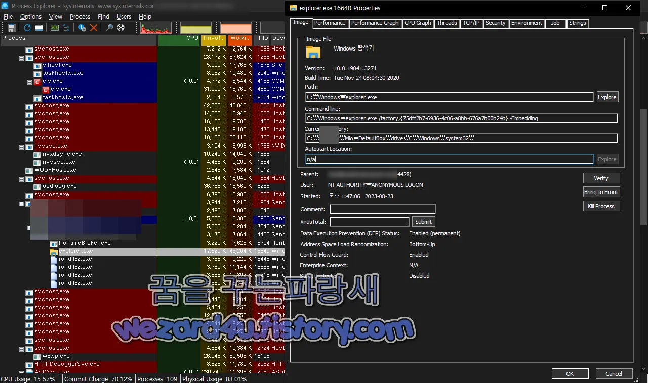 ProcessExplorer 본 악성코드 실행 부분