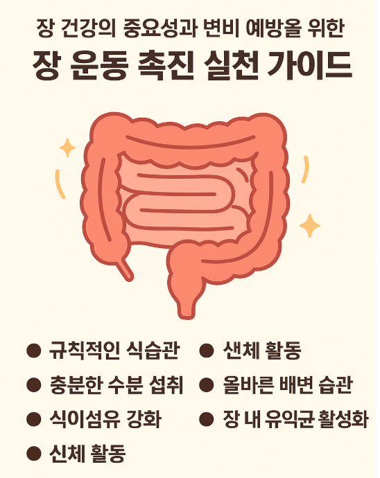 장 건강의 중요성 관련 사진