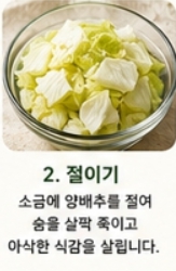 양배추이미지