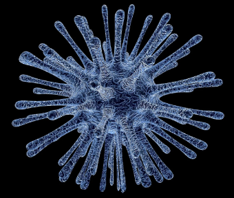 참진드기 예방하기: 봄철 야외 활동 전 꼭 알아야 할 주의사항