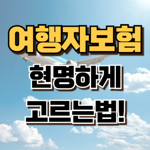 1.해외 여행자보험