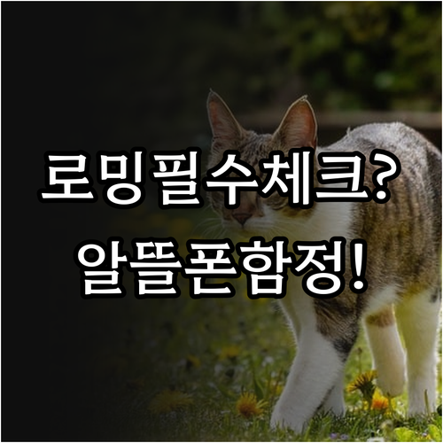 해외 로밍 자주 간다면 알뜰폰 vs ..