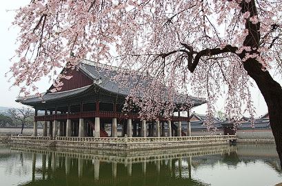 경복궁 별빛야행 예약