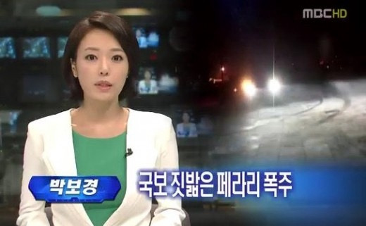 박보경 아나운서 정치 활동