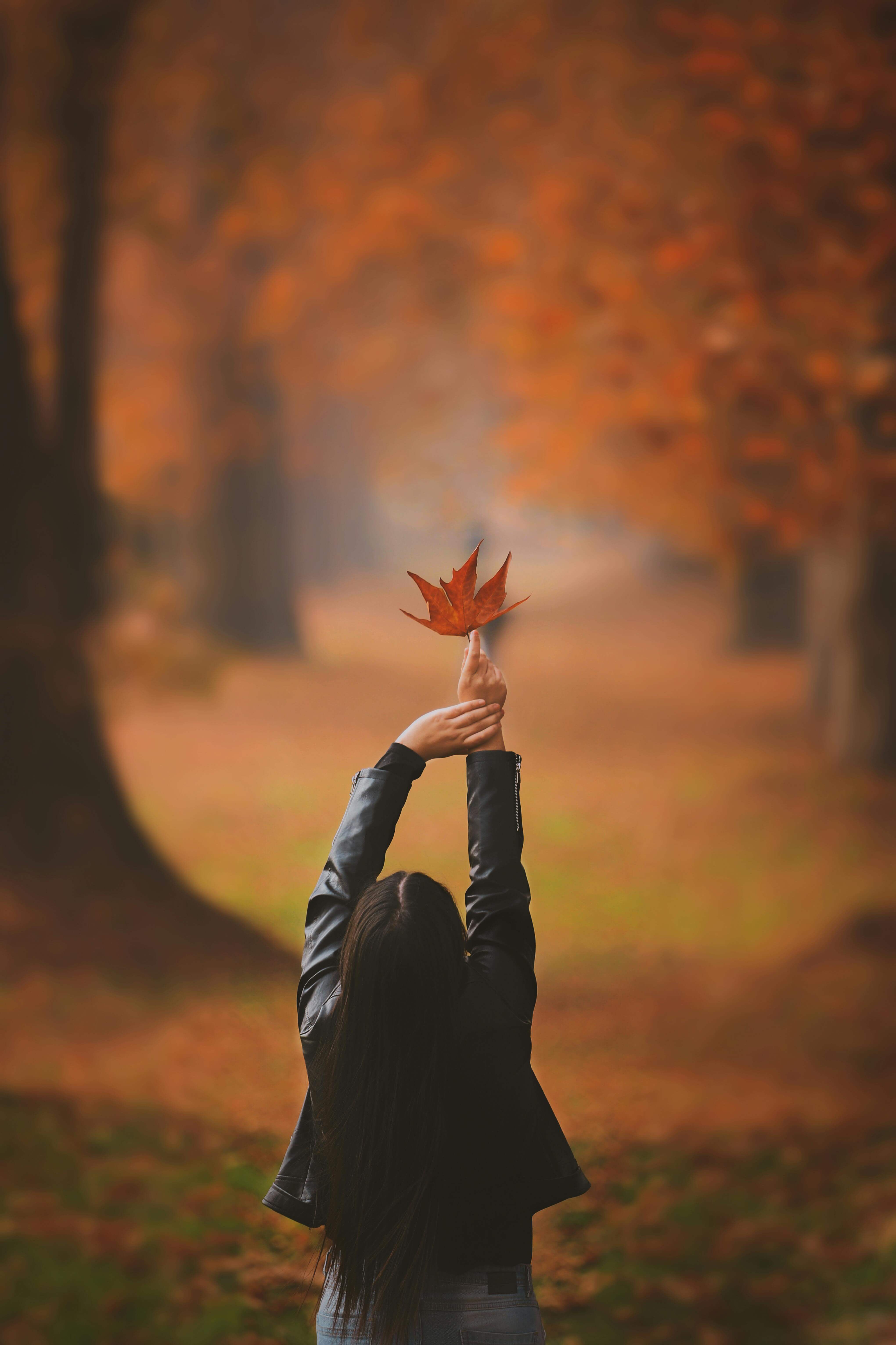 가을단풍을 들고 있는 여자독사진