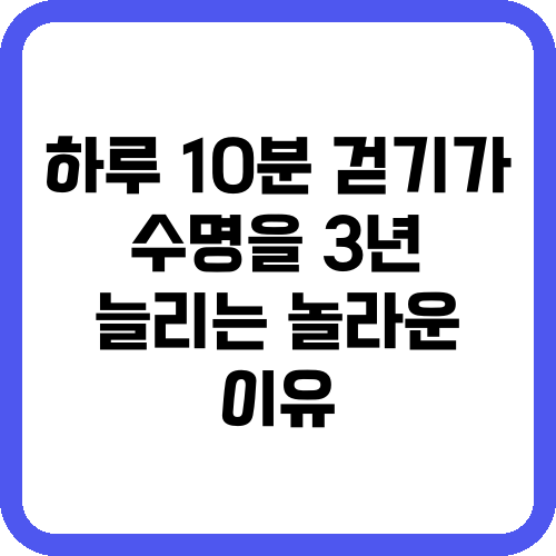 하루 10분 걷기가 수명을 3년 늘리는 놀라운 이유