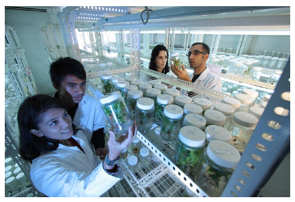 정부출연 연구소와의 공동연구 지원사업 발굴