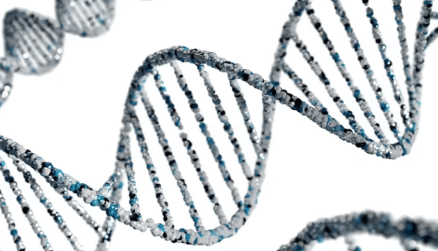 3월 공모주 시장&amp;#44; 바이오가 주도하나? 