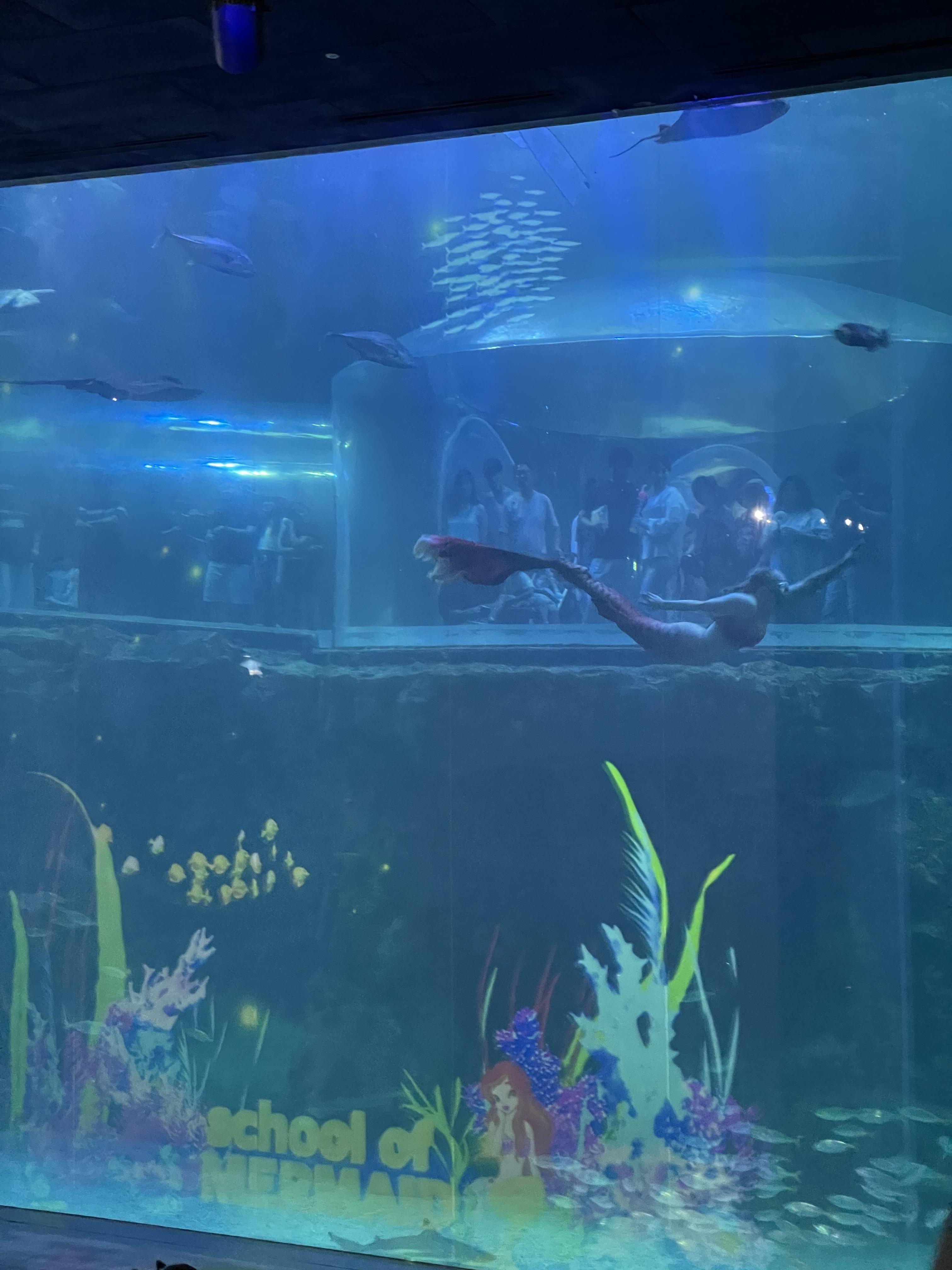 여수 아쿠아플라넷