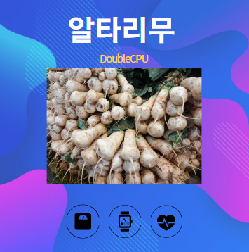 알타리무 알아보기