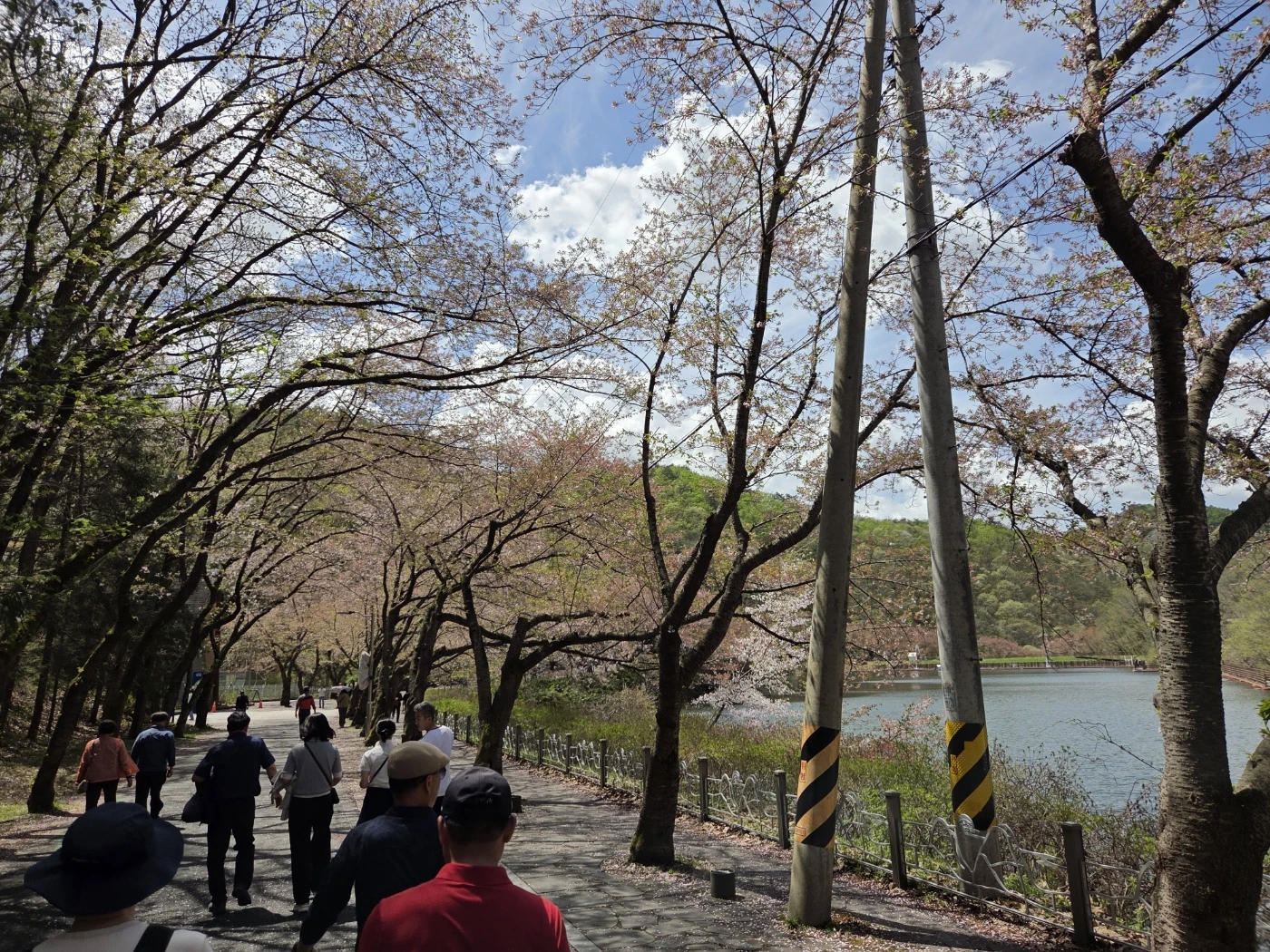 마이산 산행길17