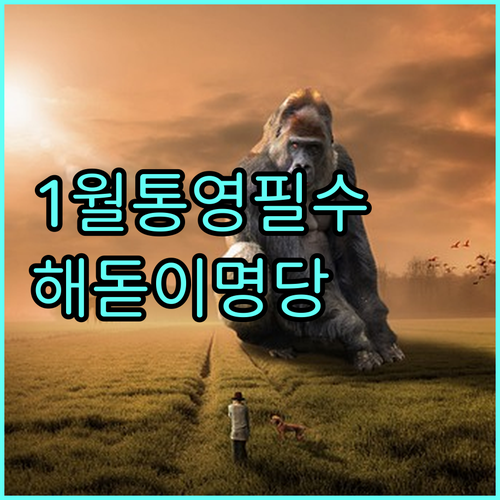 1월 통영 가볼만한곳 TOP5 및 신..