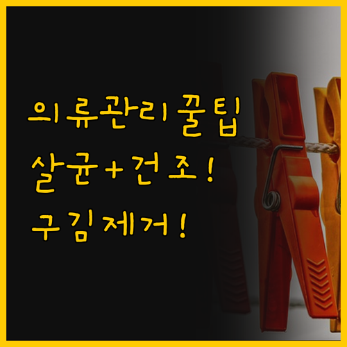 완벽한 의류관리를 위한 필수 가이드 ..