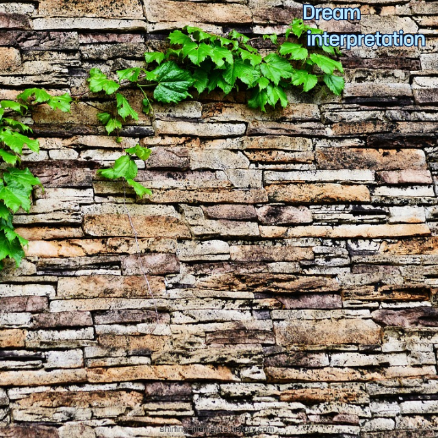 🌸 봄날, 담벼락과 철조망이 등장한 꿈… 무의식이 말하는 20가지 메시지