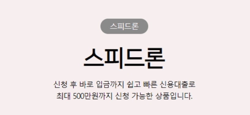 무직자 비상금대출 가능한곳 스피드론